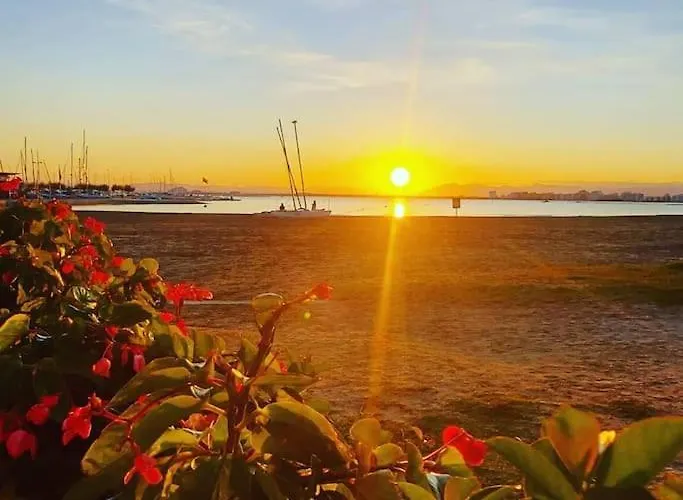 Sunsetmare Vacational * Roses
