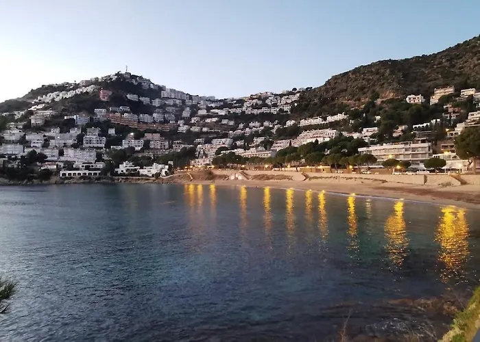 Sunsetmare Vacational * Roses