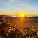 Sunsetmare Vacational * Roses