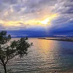 Sunsetmare Vacational Roses