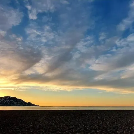Sunsetmare Vacational * Roses