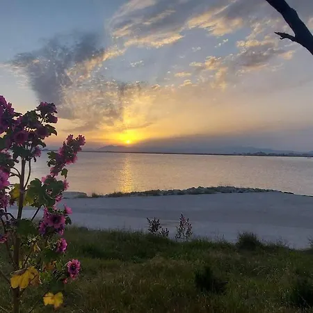Sunsetmare Vacational Apartment Roses