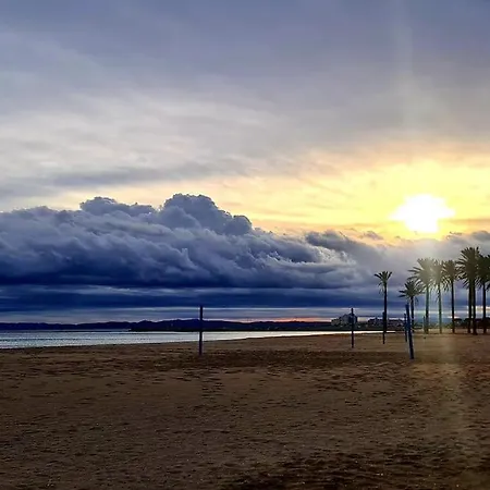 Sunsetmare Vacational * Roses