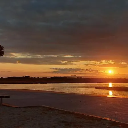 Sunsetmare Vacational * Roses