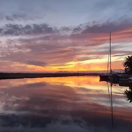 Sunsetmare Vacational * Roses