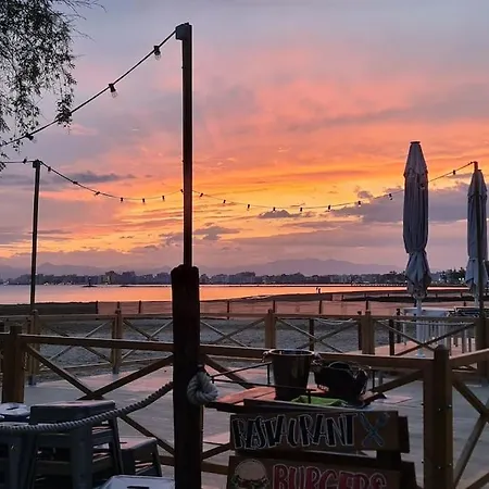 Sunsetmare Vacational Roses