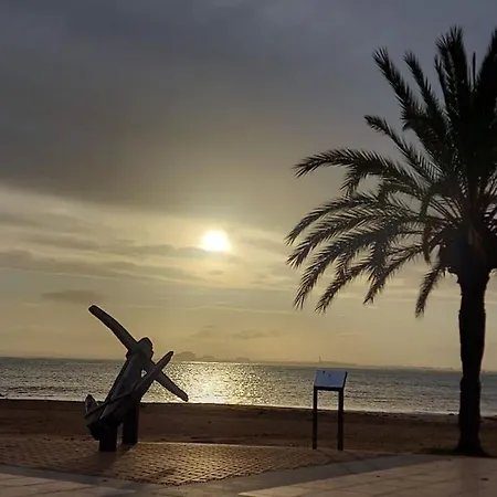 Sunsetmare Vacational * Roses