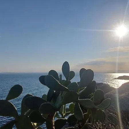 Sunsetmare Vacational