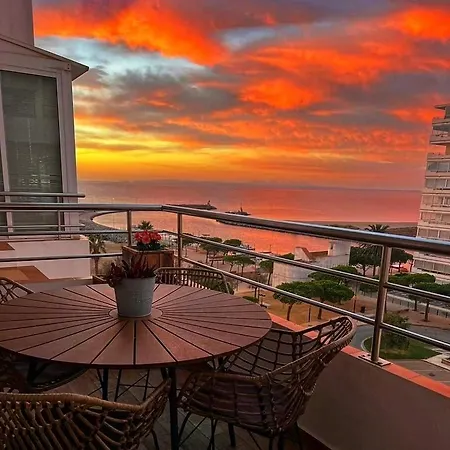 Sunsetmare Vacational Roses