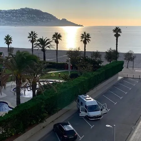 Sunsetmare Vacational * Ρόζες
