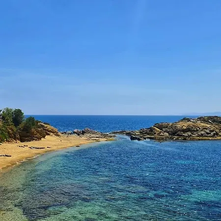 Sunsetmare Vacational Ρόζες