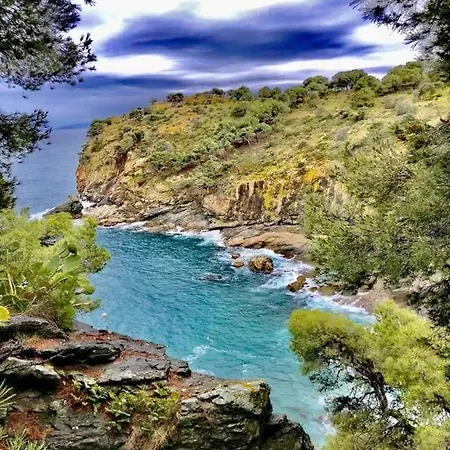 Sunsetmare Vacational * Ρόζες